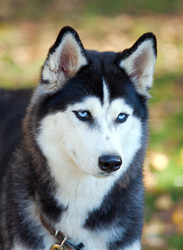 Similar image 319640