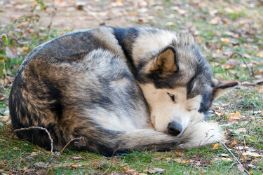 Similar image 319642