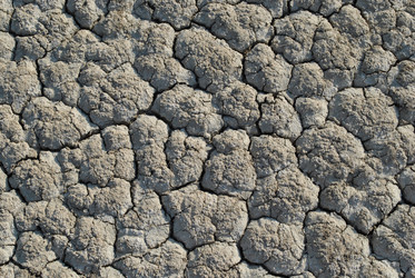 Similar image 319645