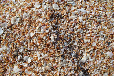 Similar image 319646