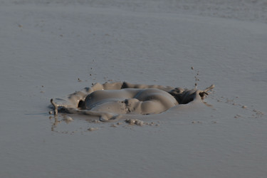 Similar image 319647