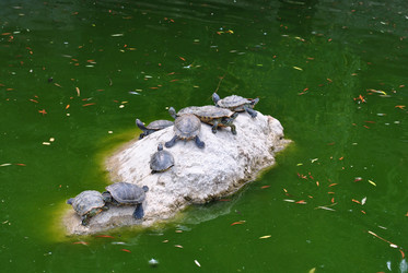 Similar image 319648