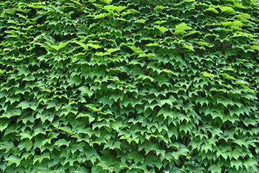 Similar image 319651