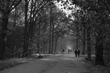 Similar image 319660