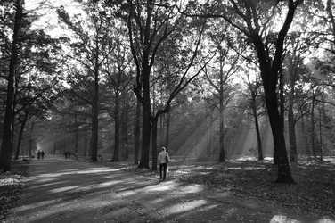 Similar image 319661