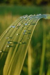 Similar image 319662