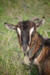 Similar image 319665