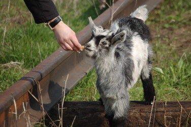 Similar image 319669