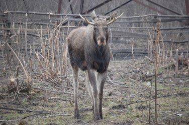 Similar image 319670