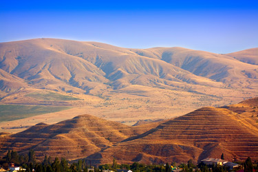 Similar image 319675