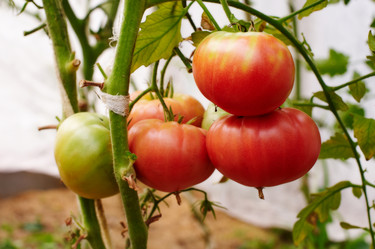 Similar image 319694