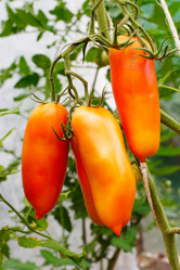 Similar image 319696