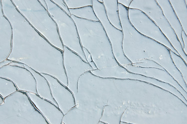 Similar image 319708