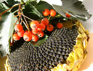 Similar image 319710