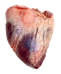 Similar image 319720