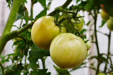 Similar image 319740