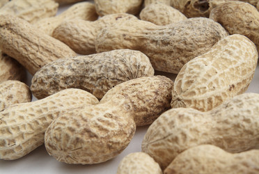 Similar image 319752