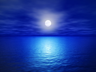 Similar image 319782