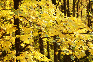 Similar image 319791