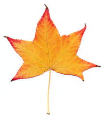 Similar image 319866