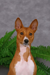 Similar image 319894