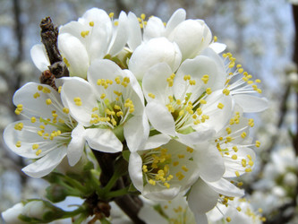 Similar image 319920