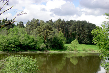 Similar image 319943