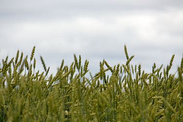 Similar image 320036