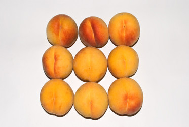 Similar image 320050