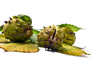 Similar image 320059