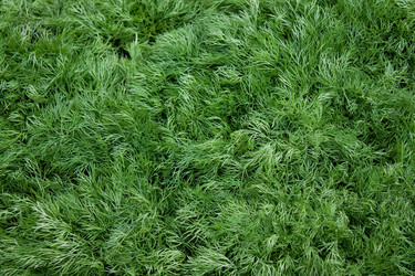 Similar image 320060