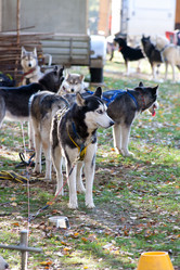 Similar image 320105