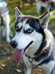 Similar image 320109