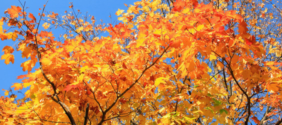 Similar image 320128