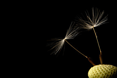 Similar image 320164