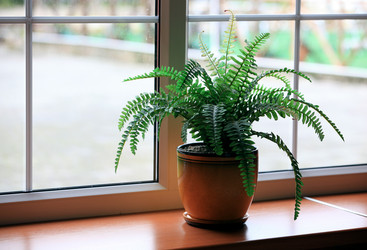 Similar image 320187