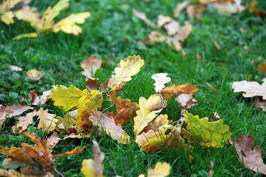 Similar image 320189