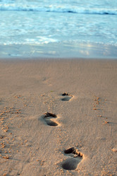 Similar image 320190