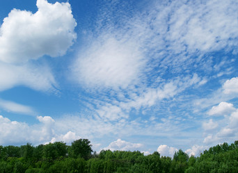 Similar image 320197