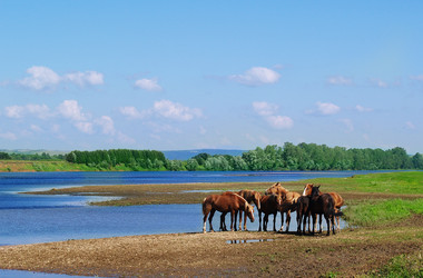 Similar image 320202