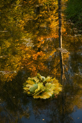 Similar image 320207