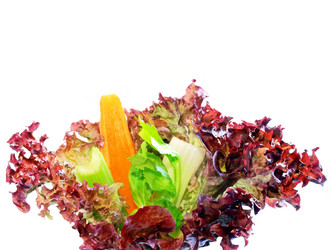 Similar image 320218