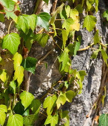 Similar image 320249