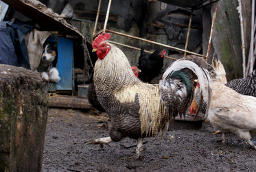 Similar image 320254