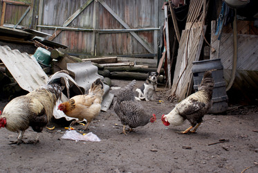 Similar image 320256