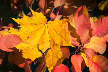 Similar image 320296