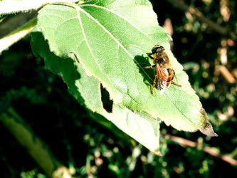 Similar image 320301