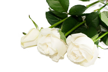 Similar image 320309