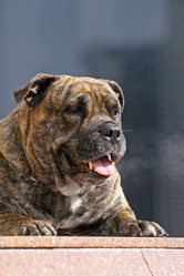 Similar image 320335