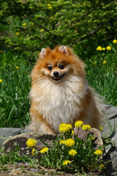 Similar image 320341